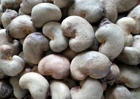 Cashew nuts W180
